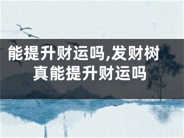 能提升财运吗,发财树真能提升财运吗