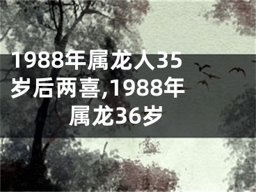 1988年属龙人35岁后两喜,1988年属龙36岁