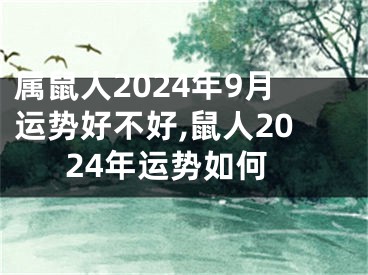 属鼠人2024年9月运势好不好,鼠人2024年运势如何