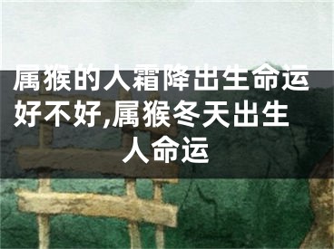 属猴的人霜降出生命运好不好,属猴冬天出生人命运