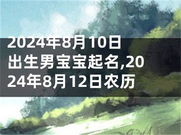 2024年8月10日出生男宝宝起名,2024年8月12日农历