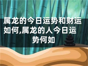 属龙的今日运势和财运如何,属龙的人今日运势何如