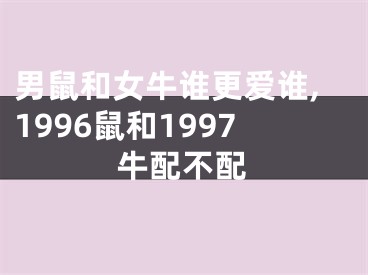 男鼠和女牛谁更爱谁,1996鼠和1997牛配不配