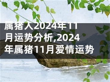 属猪人2024年11月运势分析,2024年属猪11月爱情运势