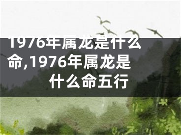1976年属龙是什么命,1976年属龙是什么命五行