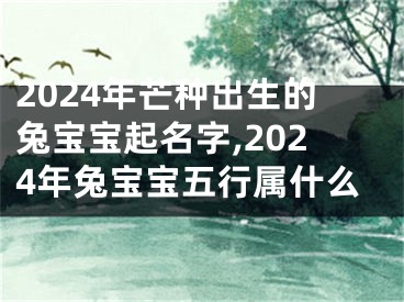 2024年芒种出生的兔宝宝起名字,2024年兔宝宝五行属什么