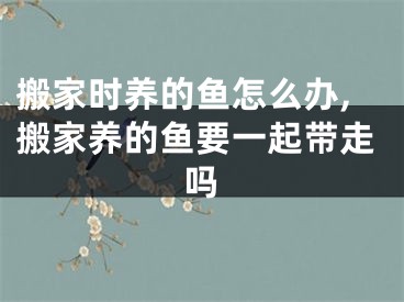 搬家时养的鱼怎么办,搬家养的鱼要一起带走吗