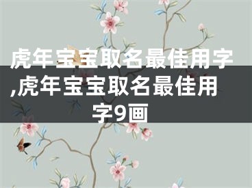 虎年宝宝取名最佳用字,虎年宝宝取名最佳用字9画