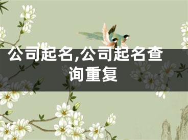 公司起名,公司起名查询重复