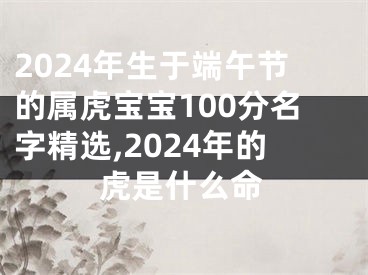 2024年生于端午节的属虎宝宝100分名字精选,2024年的虎是什么命