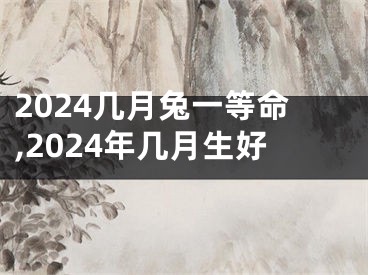 2024几月兔一等命,2024年几月生好