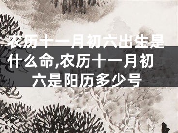 农历十一月初六出生是什么命,农历十一月初六是阳历多少号