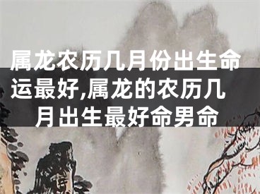 属龙农历几月份出生命运最好,属龙的农历几月出生最好命男命