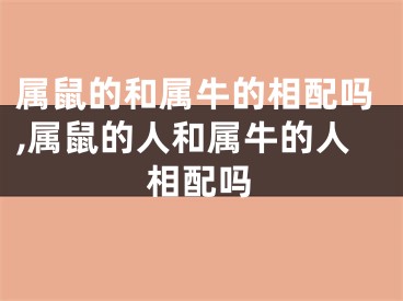属鼠的和属牛的相配吗,属鼠的人和属牛的人相配吗