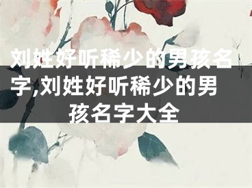 刘姓好听稀少的男孩名字,刘姓好听稀少的男孩名字大全