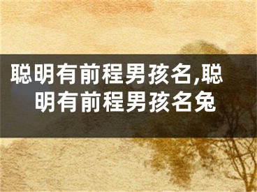 聪明有前程男孩名,聪明有前程男孩名兔
