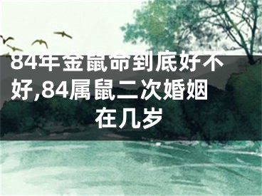 84年金鼠命到底好不好,84属鼠二次婚姻在几岁