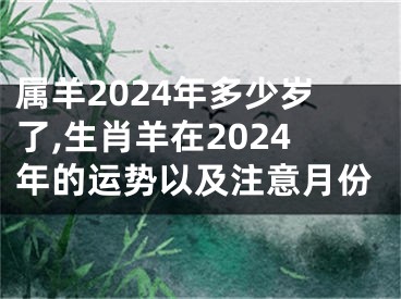 属羊2024年多少岁了,生肖羊在2024年的运势以及注意月份
