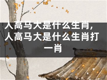 人高马大是什么生肖,人高马大是什么生肖打一肖