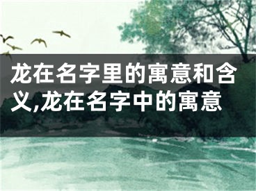龙在名字里的寓意和含义,龙在名字中的寓意