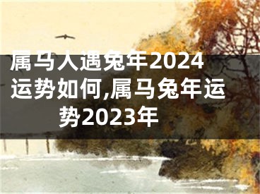 属马人遇兔年2024运势如何,属马兔年运势2023年
