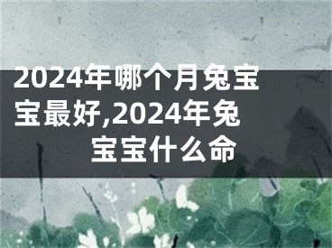 2024年哪个月兔宝宝最好,2024年兔宝宝什么命