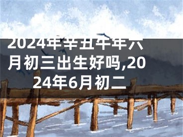 2024年辛丑牛年六月初三出生好吗,2024年6月初二