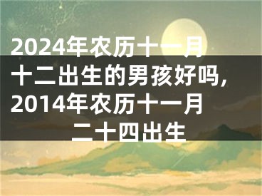 2024年农历十一月十二出生的男孩好吗,2014年农历十一月二十四出生