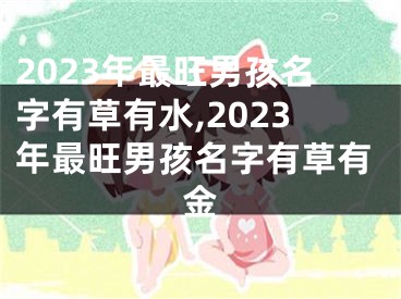 2023年最旺男孩名字有草有水,2023年最旺男孩名字有草有金
