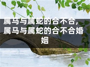 属马与属蛇的合不合,属马与属蛇的合不合婚姻