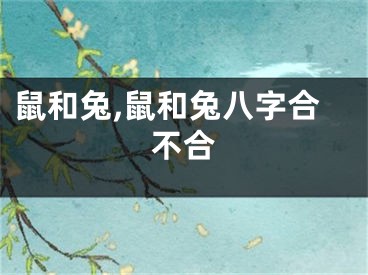 鼠和兔,鼠和兔八字合不合