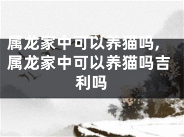 属龙家中可以养猫吗,属龙家中可以养猫吗吉利吗