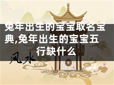 兔年出生的宝宝取名宝典,兔年出生的宝宝五行缺什么