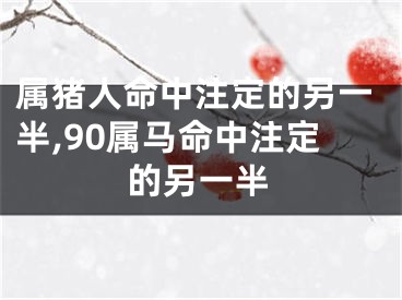 属猪人命中注定的另一半,90属马命中注定的另一半