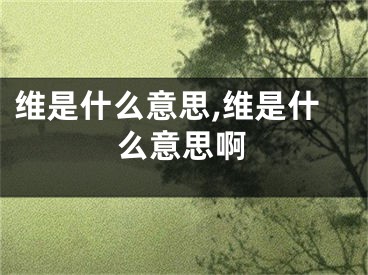 维是什么意思,维是什么意思啊