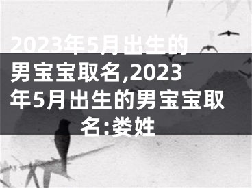 2023年5月出生的男宝宝取名,2023年5月出生的男宝宝取名:娄姓
