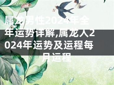 属龙男性2024年全年运势详解,属龙人2024年运势及运程每月运程