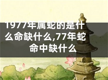1977年属蛇的是什么命缺什么,77年蛇命中缺什么