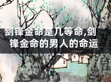 剑锋金命是几等命,剑锋金命的男人的命运