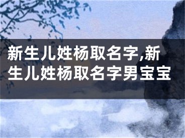 新生儿姓杨取名字,新生儿姓杨取名字男宝宝