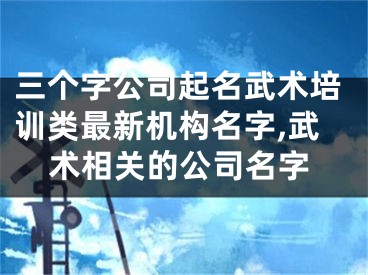 三个字公司起名武术培训类最新机构名字,武术相关的公司名字