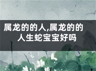 属龙的的人,属龙的的人生蛇宝宝好吗