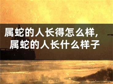 属蛇的人长得怎么样,属蛇的人长什么样子