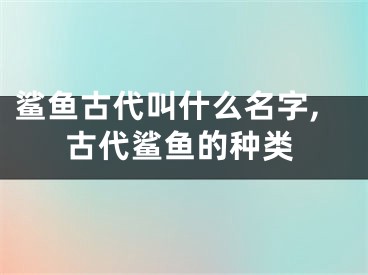 鲨鱼古代叫什么名字,古代鲨鱼的种类