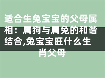 适合生兔宝宝的父母属相：属狗与属兔的和谐结合,兔宝宝旺什么生肖父母