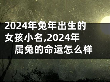 2024年兔年出生的女孩小名,2024年属兔的命运怎么样