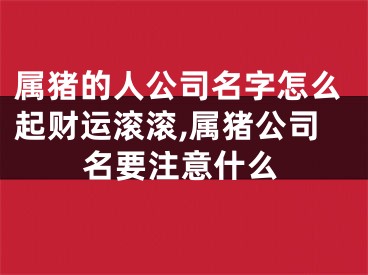 属猪的人公司名字怎么起财运滚滚,属猪公司名要注意什么