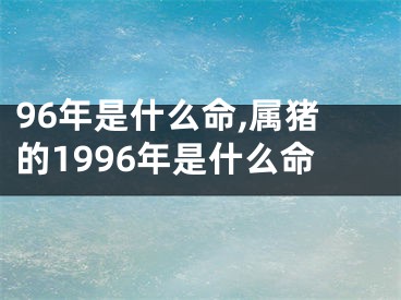 96年是什么命,属猪的1996年是什么命