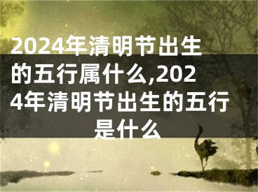 2024年清明节出生的五行属什么,2024年清明节出生的五行是什么