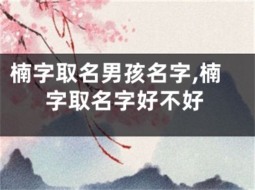 楠字取名男孩名字,楠字取名字好不好